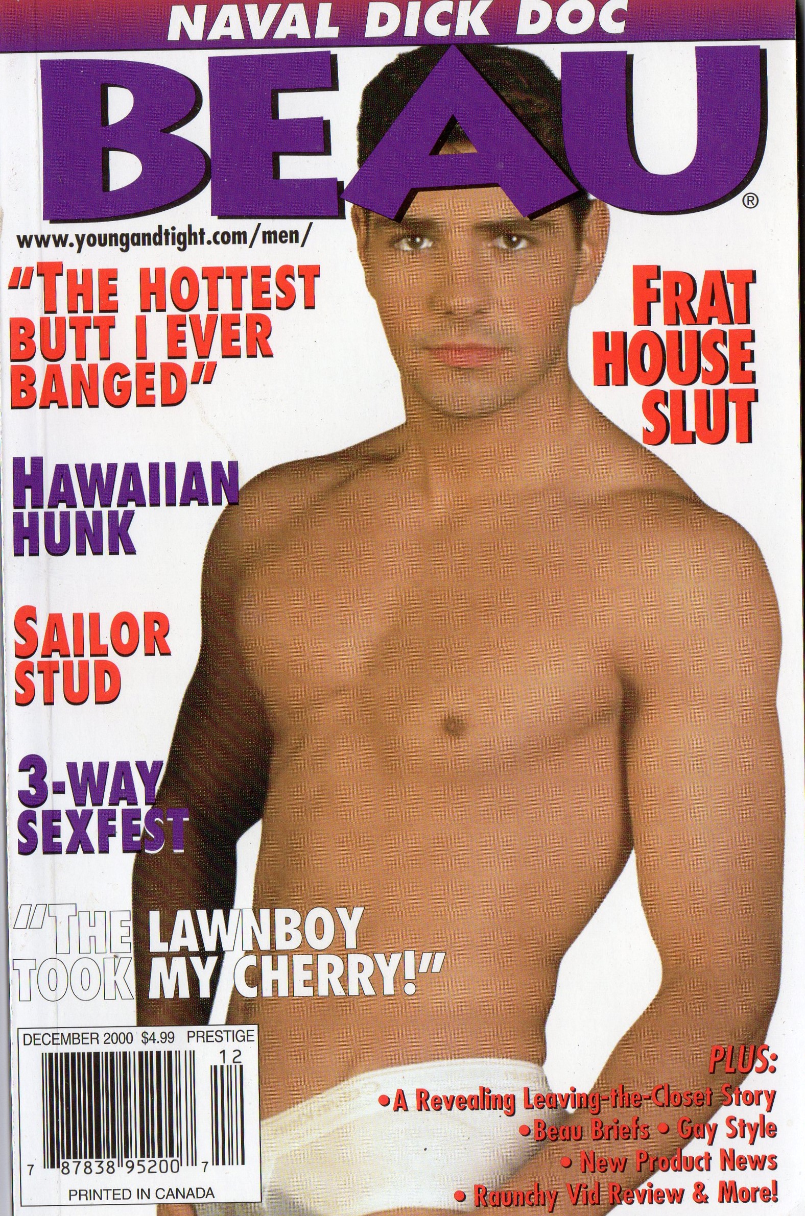 BEAU (Release December 2000) Gay Erotic Stories Paperback