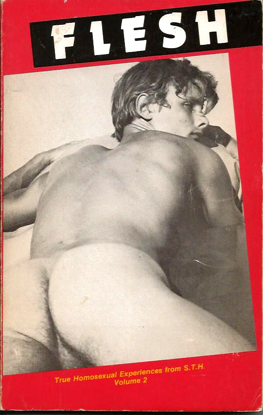 FLESH: True Homosexual Experiences from S.T.H. Writers - Volume 2