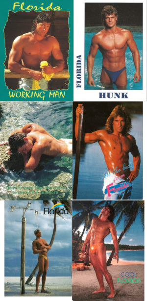 FLORIDA - Set of 6 Vintage Postcards
