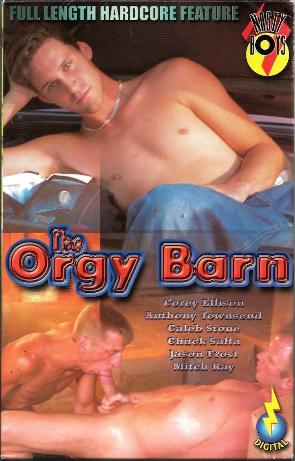 Vintage VHS Tape: The Orgy Barnv